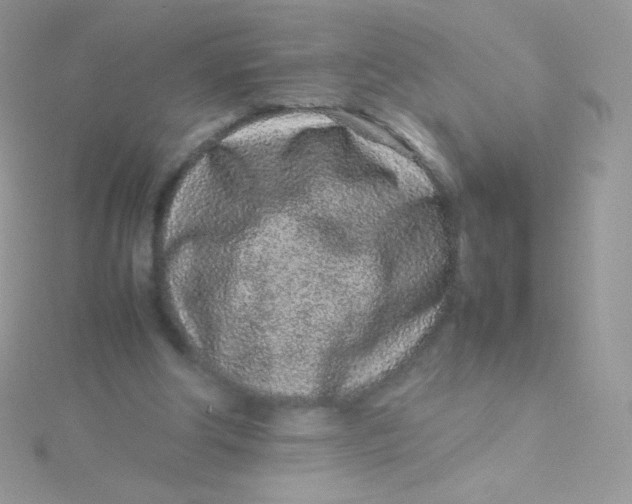 X0000115500202200911271417