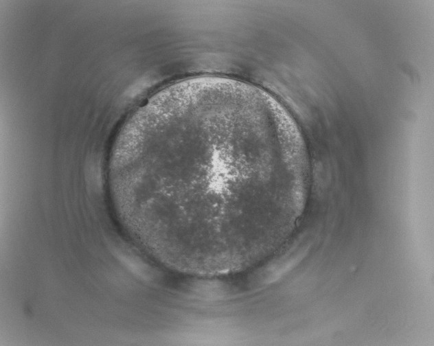 X0000115500203200911271417