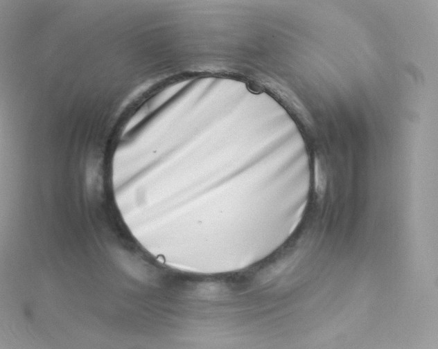 X0000115500204200911271417