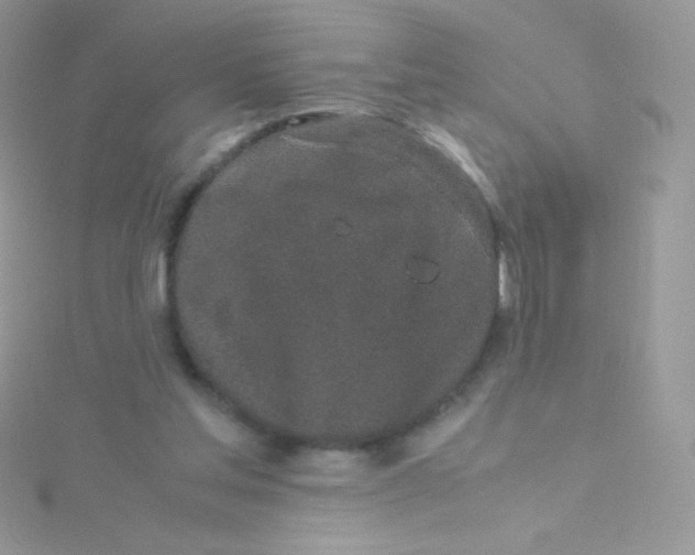 X0000115500205200911271417