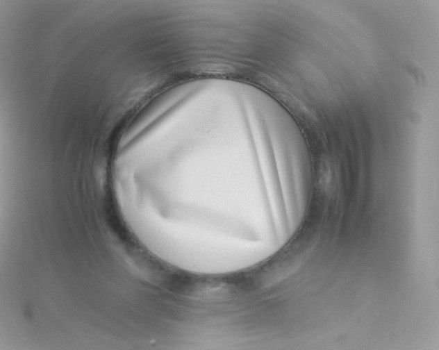 X0000115500206200911271417