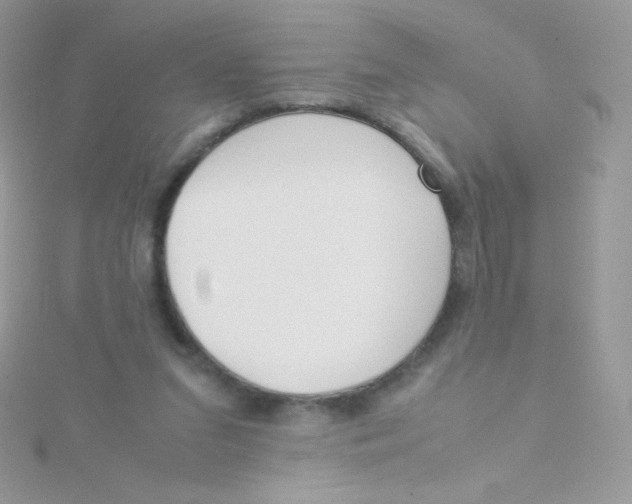 X0000115500207200911271417