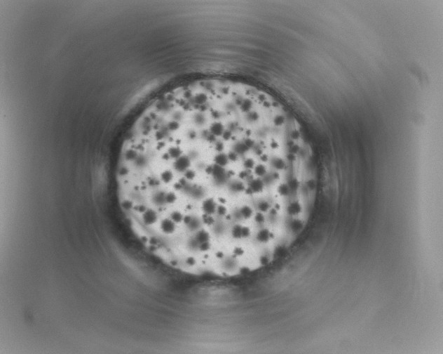 X0000115500208200911271417