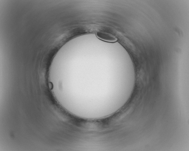 X0000115500209200911271417