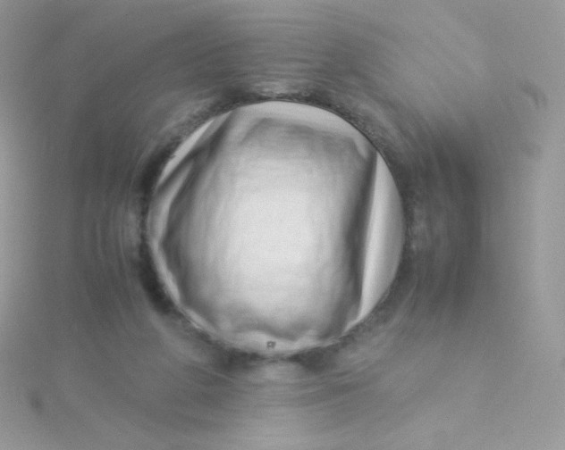 X0000115500210200911271417