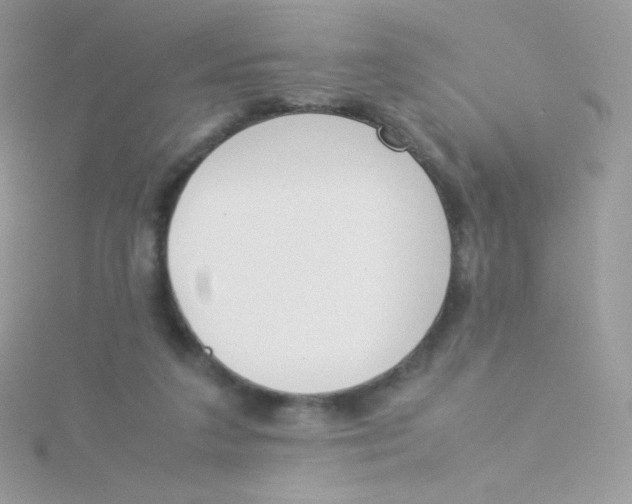 X0000115500211200911271417