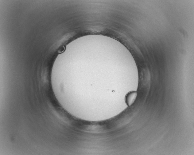 X0000115500212200911271417