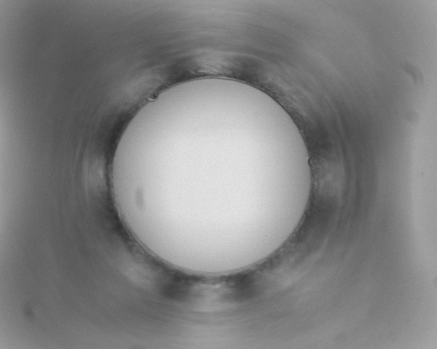 X0000115500213200911271417