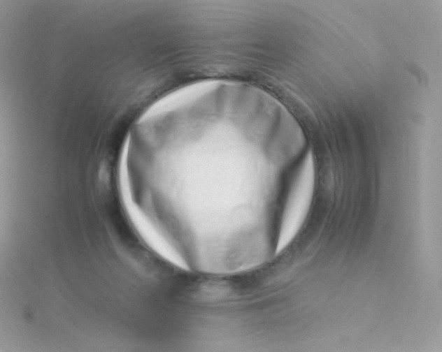 X0000115500214200911271417