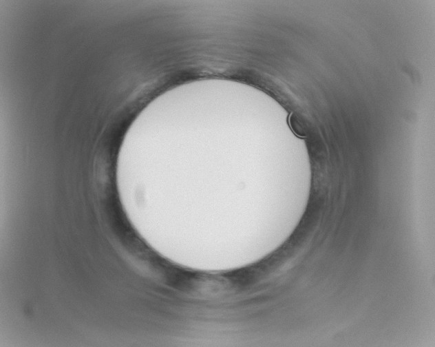 X0000115500215200911271417