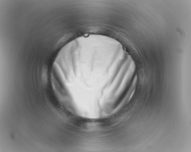 X0000115500216200911271417