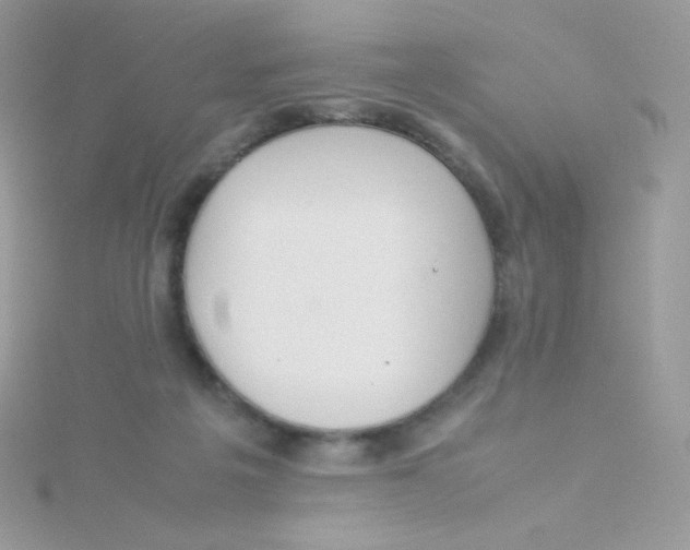 X0000115500217200911271417