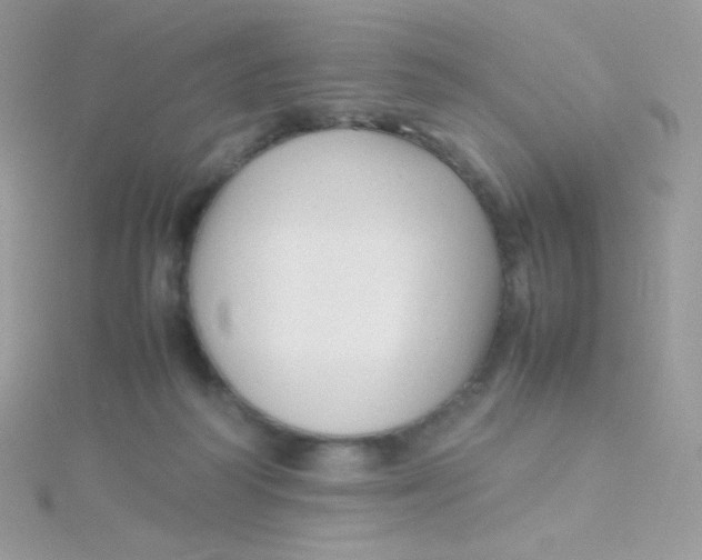 X0000115500218200911271417