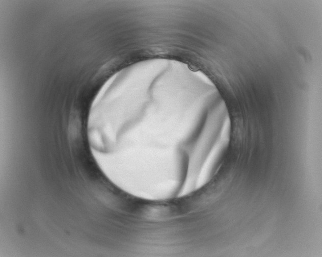 X0000115500220200911271417