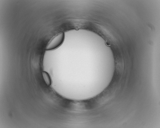 X0000115500221200911271417