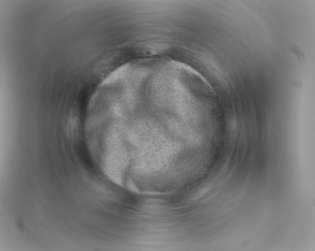 X0000115500222200911271417