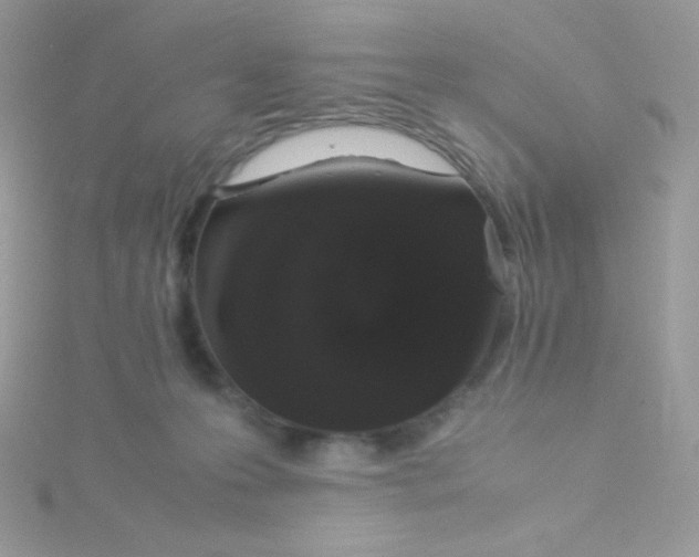 X0000115500223200911271417