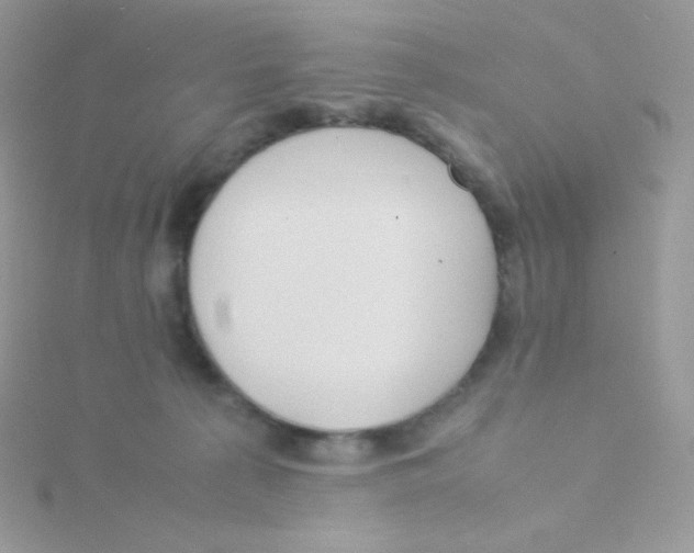 X0000115500225200911271417