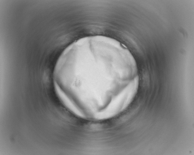 X0000115500228200911271417