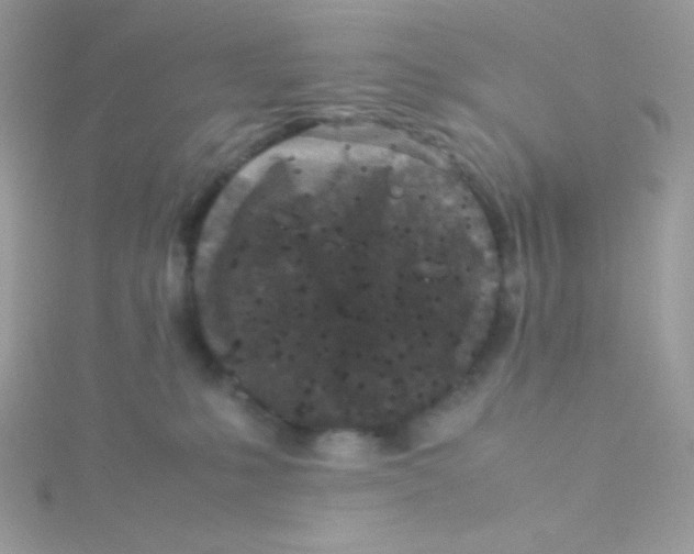 X0000115500231200911271417