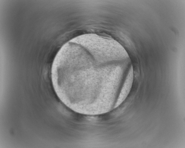 X0000115500233200911271417