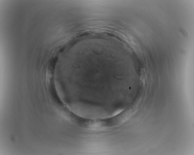 X0000115500235200911271417