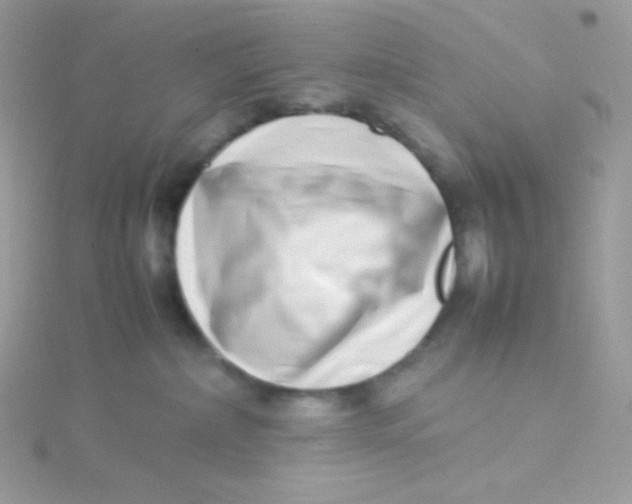 X0000115500236200911271417