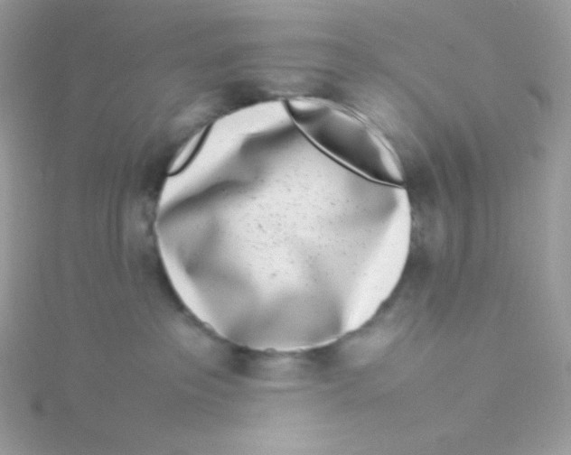 X0000115500237200911271416