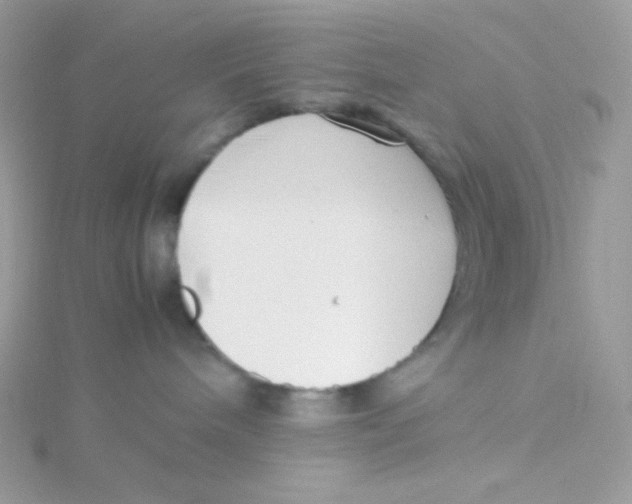 X0000115500240200911271416