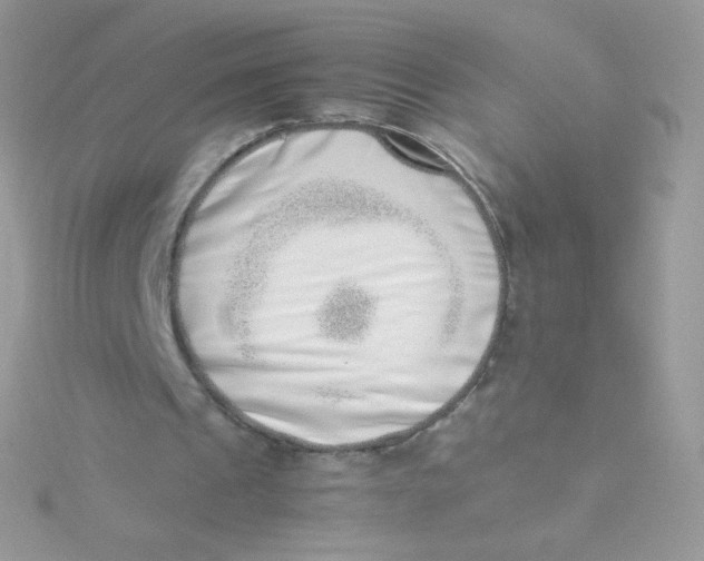 X0000115500241200911271416