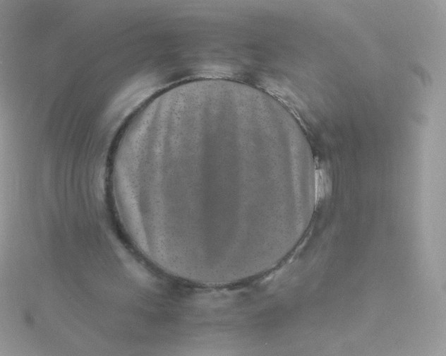 X0000115500243200911271416