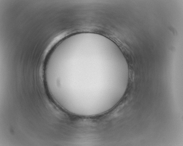 X0000115500244200911271416