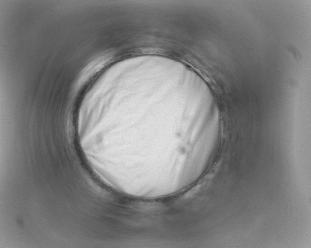 X0000115500245200911271416