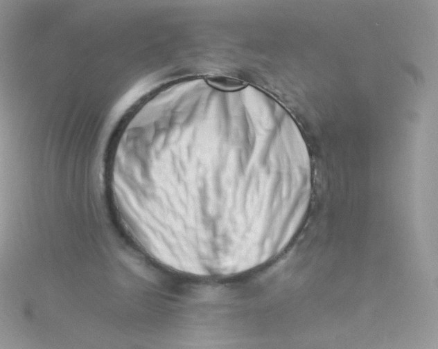 X0000115500246200911271416