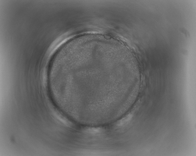 X0000115500247200911271416