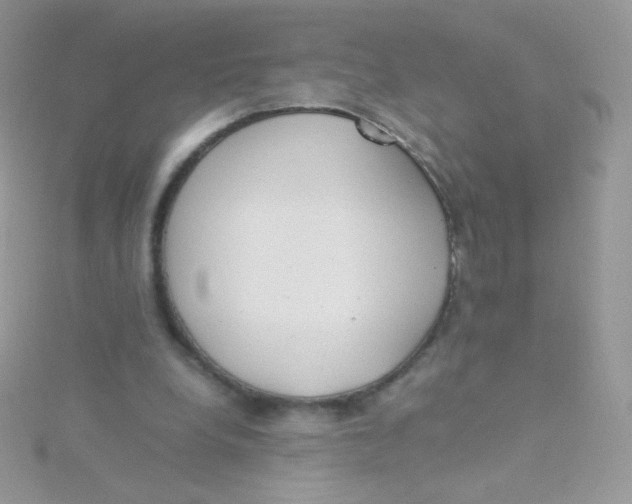 X0000115500248200911271416