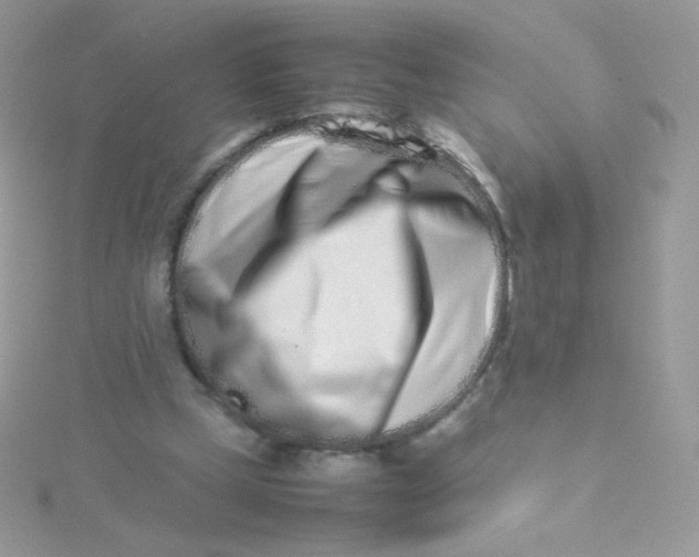 X0000115500249200911271416