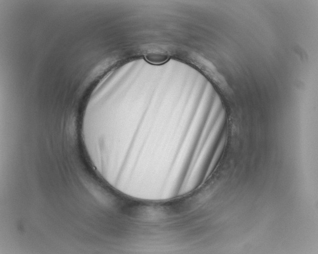 X0000115500250200911271416