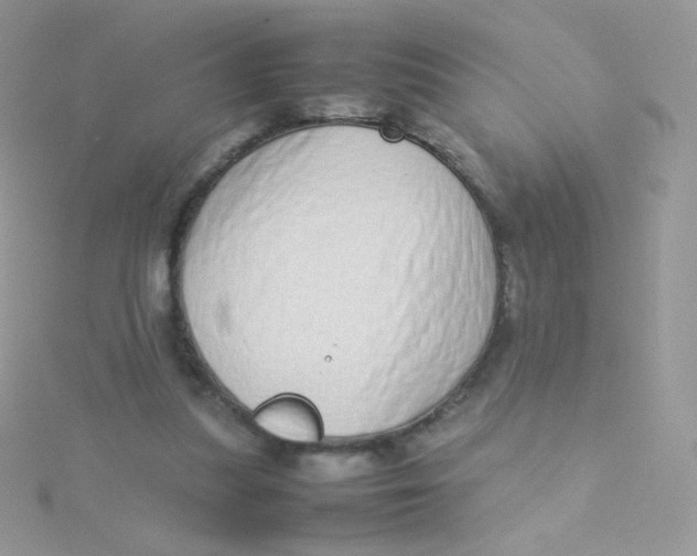 X0000115500251200911271416