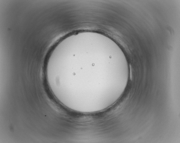 X0000115500252200911271416