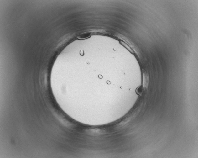 X0000115500253200911271416