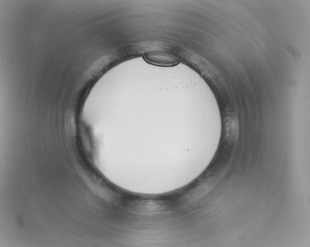 X0000115500254200911271416