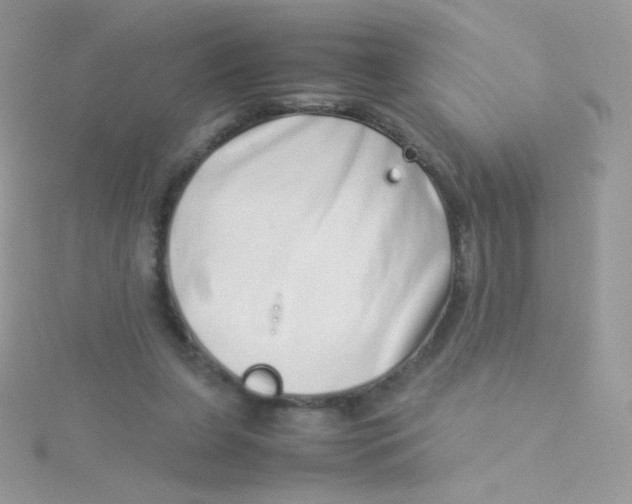 X0000115500255200911271416