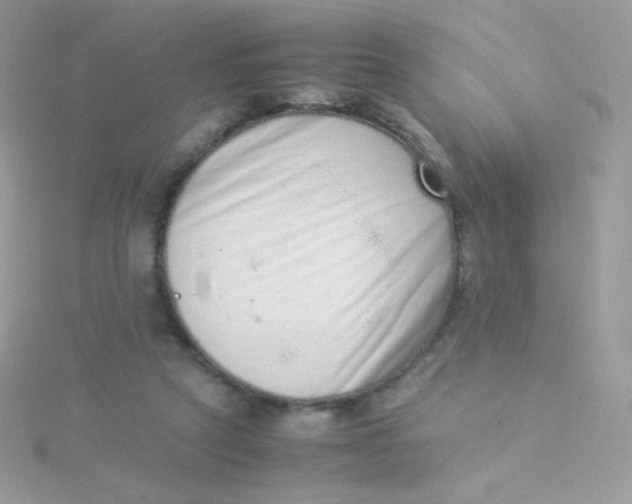 X0000115500257200911271416