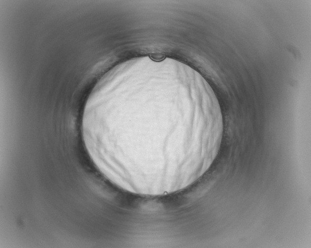 X0000115500258200911271416