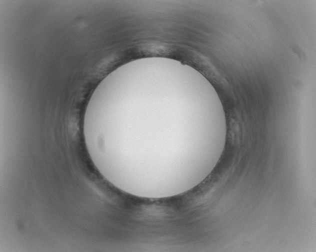 X0000115500259200911271416