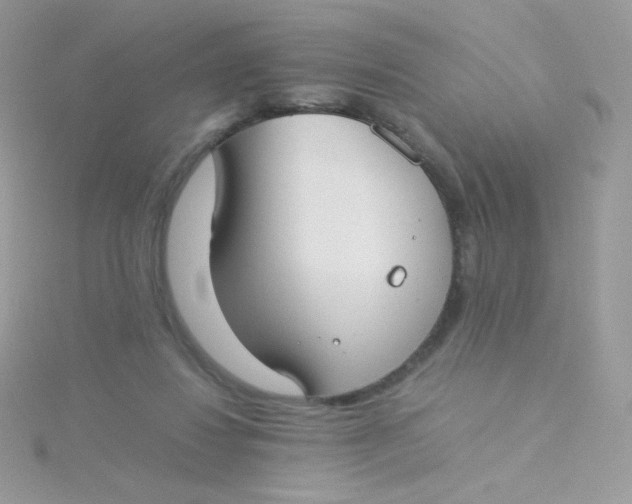 X0000115500260200911271416