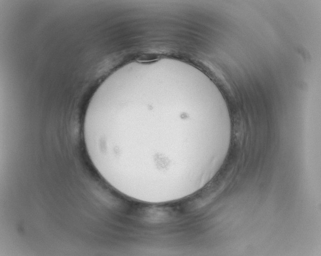 X0000115500261200911271416