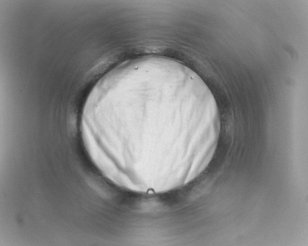 X0000115500262200911271416