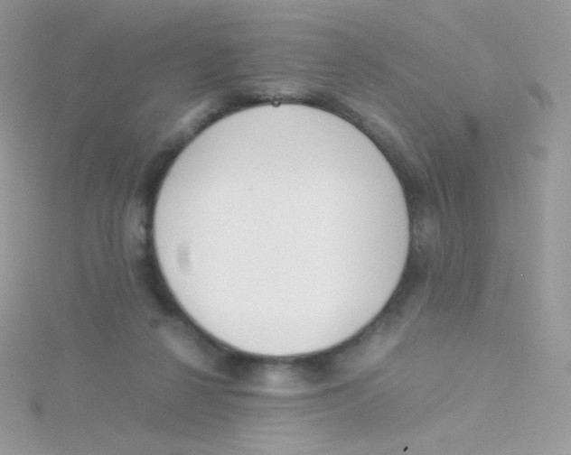 X0000115500264200911271416